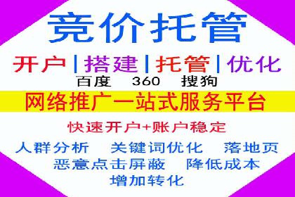 百度推广费用投入与品牌知名度提升的案例分析
